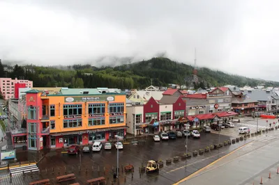 Ketchikan 2-Hour Over the Top Tours Wildlife and City Highlights