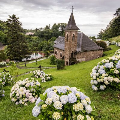 Naturaplace Tours