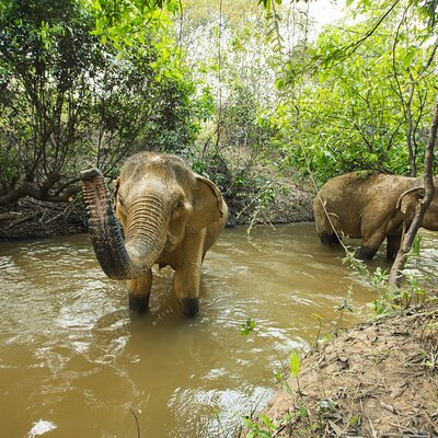 About Cambodia Travel & Tours
