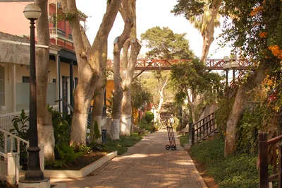 Lima Daytime Gourmet Food Tour: Barranco, Miraflores, San Isidro & Huaca Pucllana in 5 Hours