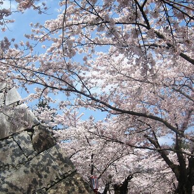 Japan Guide Agency