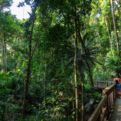 Experience Daintree Pty Ltd