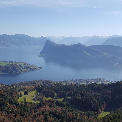 Typically Swiss Tours