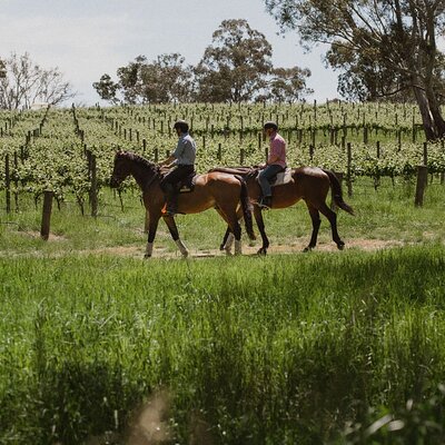 Horse Trail Ride and Wine Tasting at Adelaide Hills Winery