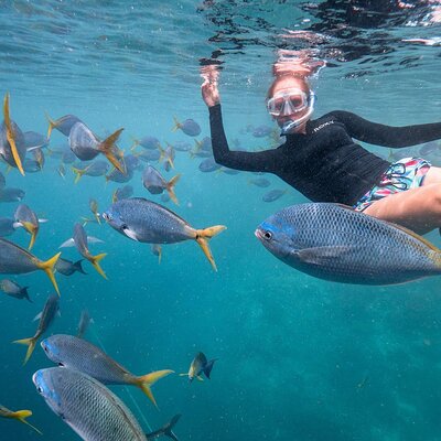 2-Hour Private Snorkelling in Maldives