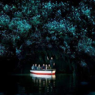 Waitomo Glowworm Caves Guided Tour