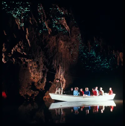 Waitomo Glowworm Caves Guided Tour