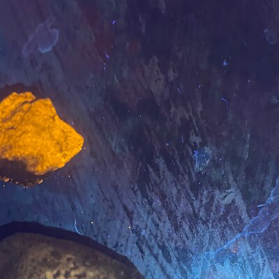 Night time fluorescent Rockhounding Tour