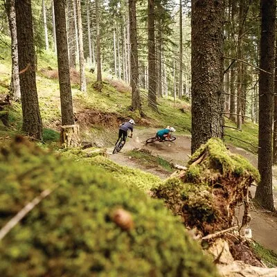Guided downhill biking at Bikepark Innsbruck