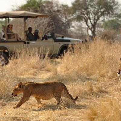 Masoko Tours and Travel Agency