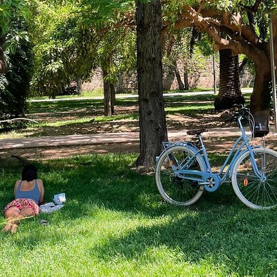 Three Parks Tour | Private Ride by Bike, E-Bike, E-Step or Segway