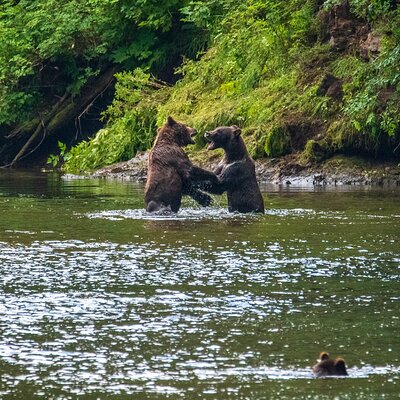 Hoonah Travel Adventures LLC
