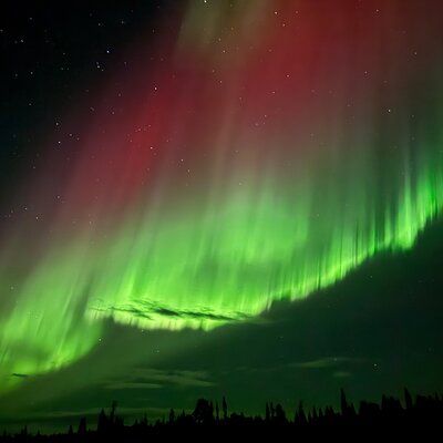 Kiruna private guides