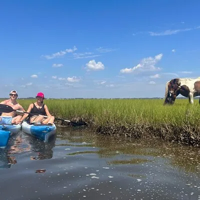 Single Sit on Top Kayak Rental at Assateague Island, MD