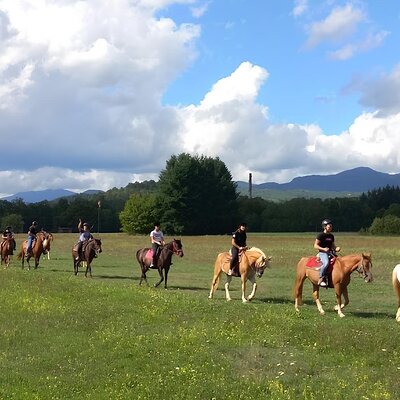 Garfagnana Horseback Riding Experience in Tuscany