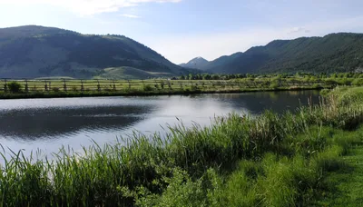 Half-Day Wildlife Safari in Grand Teton National Park with National Elk Refuge