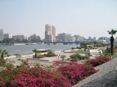 Nile Dinner Cruise in Cairo with Belly Dancing, Live Shows and Hotel Transfer