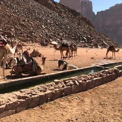 Wadi Rum Desert Dreams