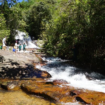 Trekking Tour to Hidden Waterfall & Sturgeon Farm for dog-lovers