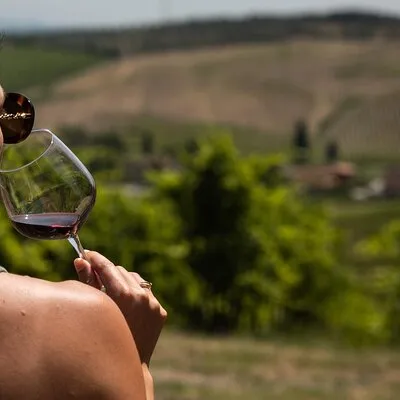 Wine experience in the Tuscan hills with tasting in Vinci