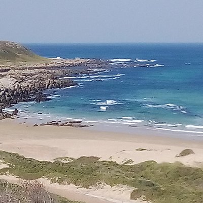 Guided Marine Walk: - Sardinia Bay (Marine Protected Area) - 2 hours
