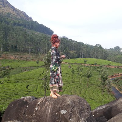 Munnar Tea Plantation Walk with Sunset View (By Munnar Info)