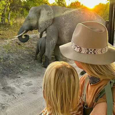 Chobe 3hr Game drive