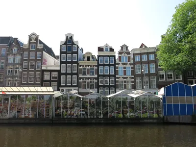 Amsterdam 90-Minute Small-Group Canal Cruise on Electric Boat for 12 Pax