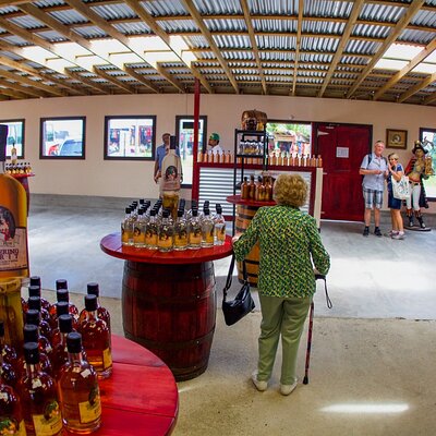 Roatan Excursion: Rum Company, Chocolate Factory with Sloths Park