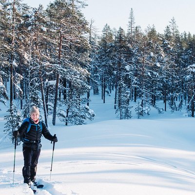 Private Wilderness Skiing Tour in Pyhätunturi With A Local Guide