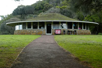 Phillip Island Day Trip from Melbourne with Penguin Plus Viewing Platform and Koala Reserve Visit