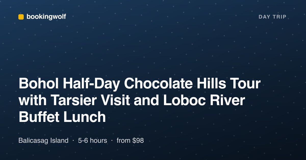 Bohol Half-Day Chocolate Hills Tour with Tarsier Visit and Loboc River Buffet Lunch
