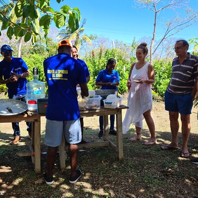 Cook, Taste, and Dance: The Authentic Rondón Experience