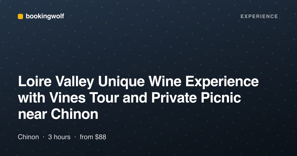 Loire Valley Unique Wine Experience with Vines Tour and Private Picnic near Chinon