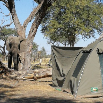 Kalahari Breeze Safaris