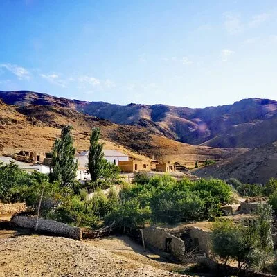 Silk Road Tours