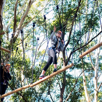 Treetops Adventure Coffs Harbour Tree Ropes Course