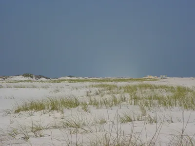 Pensacola Beach Jolly Dolphin Cruise and Scenic Bay Tour