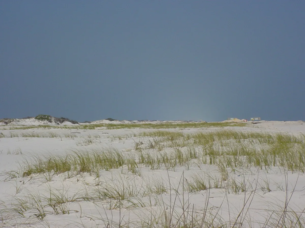 Pensacola Beach Jolly Dolphin Cruise and Scenic Bay Tour