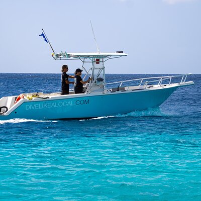 4 Wheel Diving
