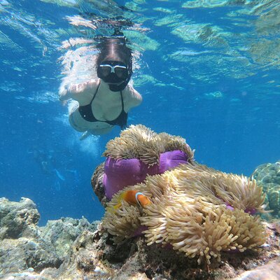 Elixir Divers
