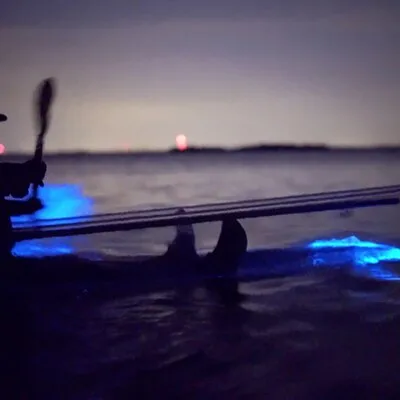 Florida Adventurer - Bioluminescent Kayaking
