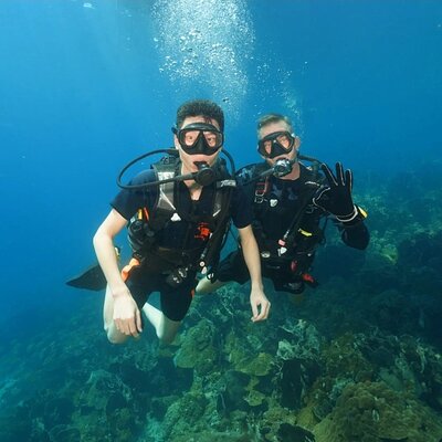 bbdivers