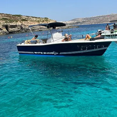 Ozzi Cruises