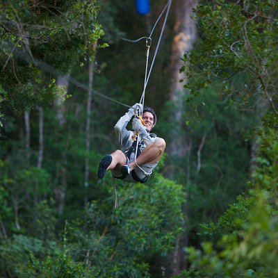 Tsitsikamma Canopy Tour