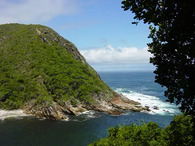Tsitsikamma National Park 2-Hour Canopy Zipline Tour