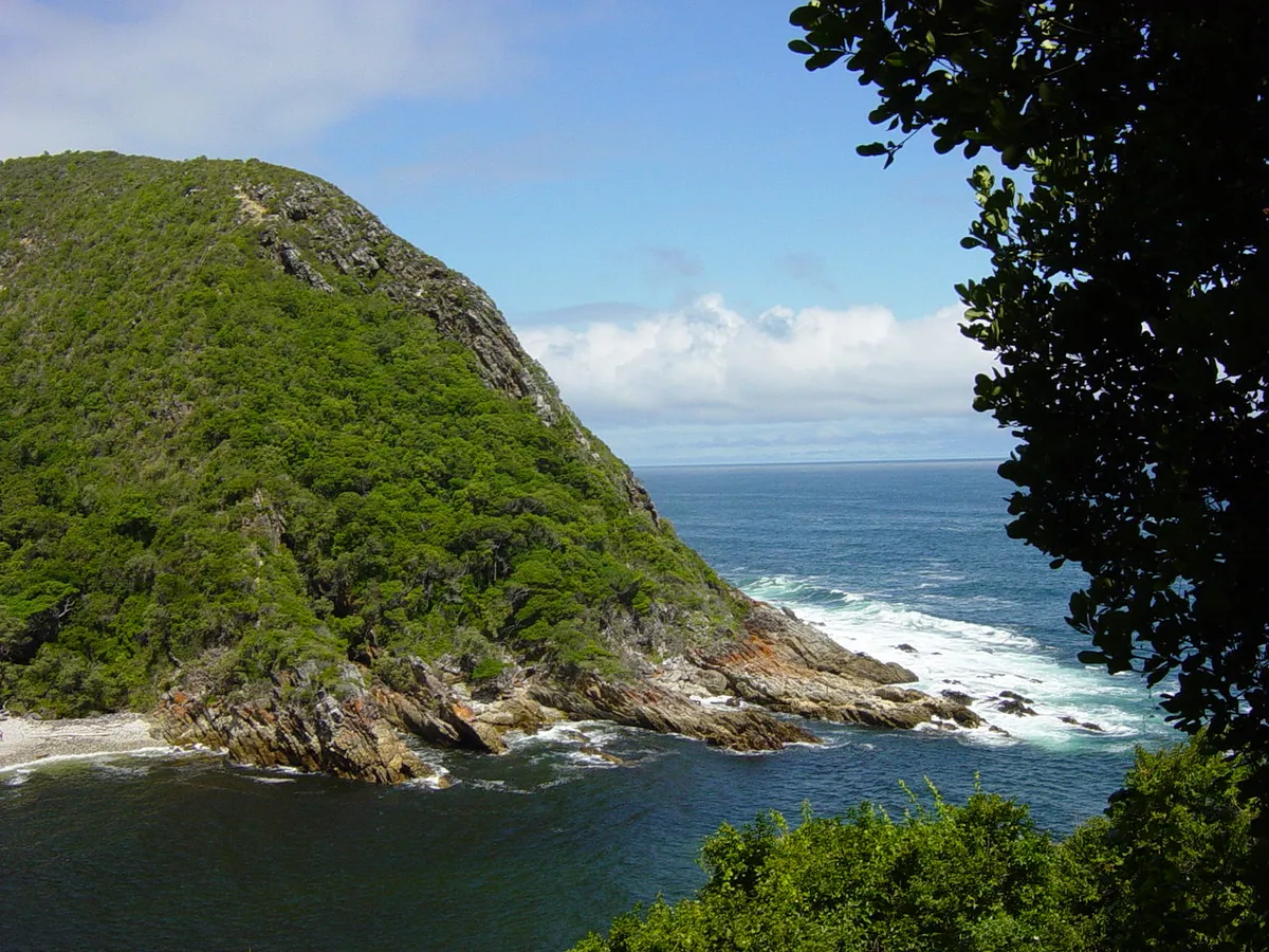 Tsitsikamma National Park 2-Hour Canopy Zipline Tour