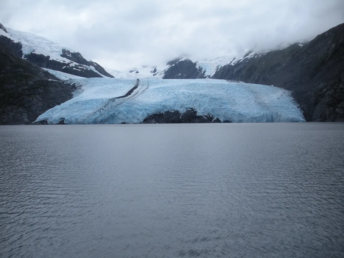 Alaska Wildlife Explorer Tour with Portage Glacier Cruise and Turnagain Arm Shuttle from Anchorage