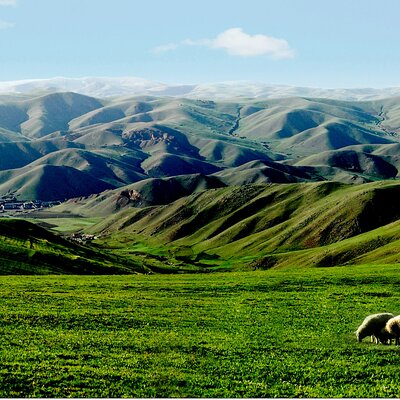 Private & Custom Tours in Inner Mongolia