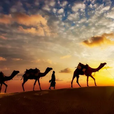 Sunset or Sunrise Camel ride in the Sahara Desert of Douz
